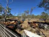 1074 Springmount Road, Mutchilba, Qld 4872-Image