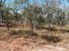 1074 Springmount Road, Mutchilba, Qld 4872-Image