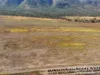 1074 Springmount Road, Mutchilba, Qld 4872-Image