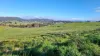 108B Weeks Road, Barrington, Tas 7306