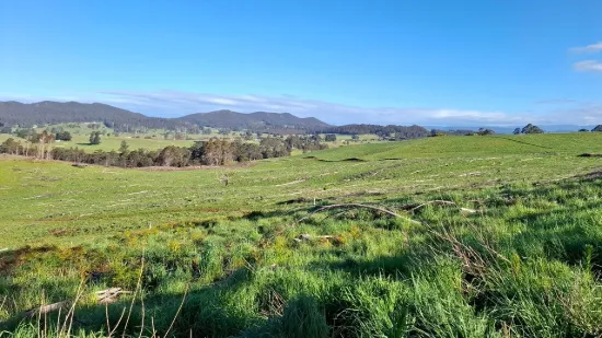 108B Weeks Road, Barrington, Tas 7306
