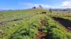 108B Weeks Road, Barrington, Tas 7306-Image