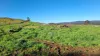 108B Weeks Road, Barrington, Tas 7306-Image