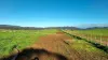108B Weeks Road, Barrington, Tas 7306-Image