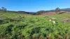 108B Weeks Road, Barrington, Tas 7306-Image
