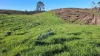 108B Weeks Road, Barrington, Tas 7306-Image