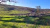 108B Weeks Road, Barrington, Tas 7306-Image