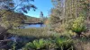 108B Weeks Road, Barrington, Tas 7306-Image