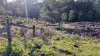 108B Weeks Road, Barrington, Tas 7306-Image