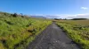 108B Weeks Road, Barrington, Tas 7306-Image
