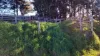 108B Weeks Road, Barrington, Tas 7306-Image