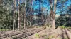 108B Weeks Road, Barrington, Tas 7306-Image