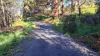108B Weeks Road, Barrington, Tas 7306-Image