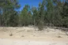 109 Miegunyah Court, Tara, Qld 4421-Image