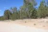 109 Miegunyah Court, Tara, Qld 4421-Image