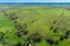 1097 Davys Plains Road, Cudal, NSW 2864-Image