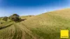 110 Creamery Valley Rd, Toora, Vic 3962-Image