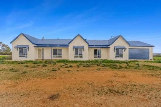 11131 Thiele Highway, Morgan, SA 5320