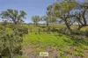 1122 Silver City Highway, Wentworth, NSW 2648-Image