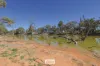 1122 Silver City Highway, Wentworth, NSW 2648-Image