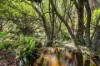 1149 Charleys Forest, Braidwood, NSW 2622-Image