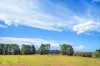 1149 Charleys Forest, Braidwood, NSW 2622-Image