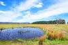 1149 Charleys Forest, Braidwood, NSW 2622-Image