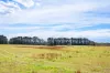 1149 Charleys Forest, Braidwood, NSW 2622-Image