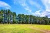 1149 Charleys Forest, Braidwood, NSW 2622-Image