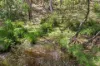 1149 Charleys Forest, Braidwood, NSW 2622-Image
