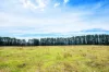 1149 Charleys Forest, Braidwood, NSW 2622-Image