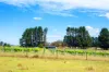 1149 Charleys Forest, Braidwood, NSW 2622-Image
