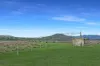 115 Algoma Road, Mutchilba QLD 4872-Image