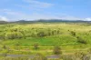 115 Algoma Road, Mutchilba QLD 4872-Image