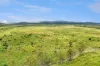 115 Algoma Road, Mutchilba QLD 4872-Image