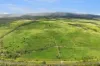 115 Algoma Road, Mutchilba QLD 4872-Image