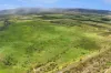 115 Algoma Road, Mutchilba QLD 4872-Image