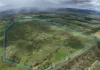 115 Algoma Road, Mutchilba QLD 4872-Image