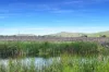 115 Algoma Road, Mutchilba QLD 4872-Image