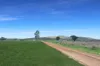 115 Algoma Road, Mutchilba QLD 4872-Image