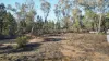 1178 Mancers Lane, Ulamambri, NSW 2357-Image