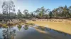 1178 Mancers Lane, Ulamambri, NSW 2357-Image