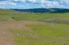 1185 Golspie Road, Laggan, NSW 2583-Image