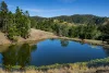 119 Perrys Road, Kidaman Creek QLD 4574-Image
