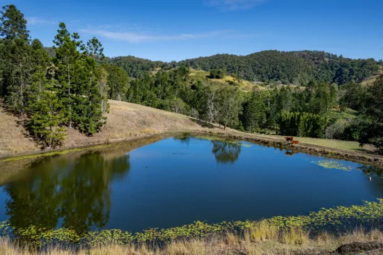119 Perrys Road, Kidaman Creek QLD 4574-Image