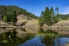 119 Perrys Road, Kidaman Creek QLD 4574-Image