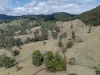 119 Perrys Road, Kidaman Creek QLD 4574-Image