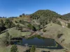 119 Perrys Road, Kidaman Creek QLD 4574-Image