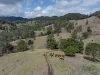 119 Perrys Road, Kidaman Creek QLD 4574-Image