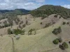 119 Perrys Road, Kidaman Creek QLD 4574-Image
